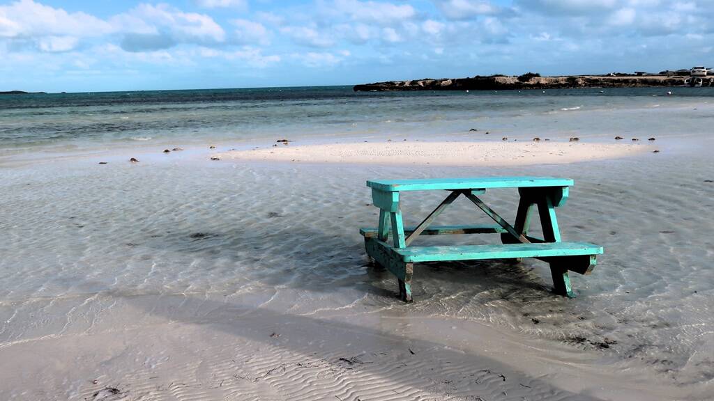 Attached picture picnic table.JPG